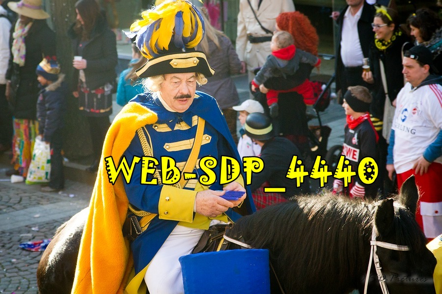 WEB SDP 4440
