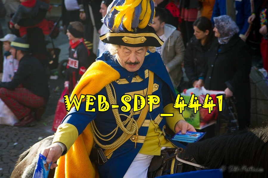 WEB SDP 4441