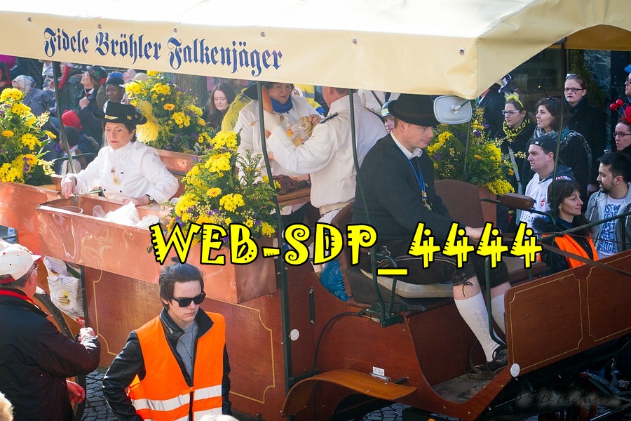WEB SDP 4444