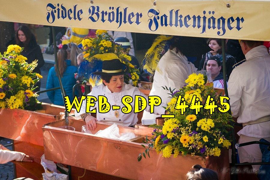 WEB SDP 4445