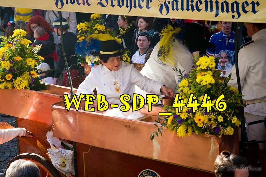 WEB SDP 4446