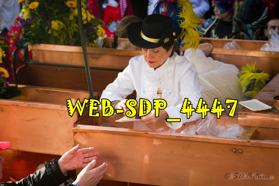 WEB SDP 4447