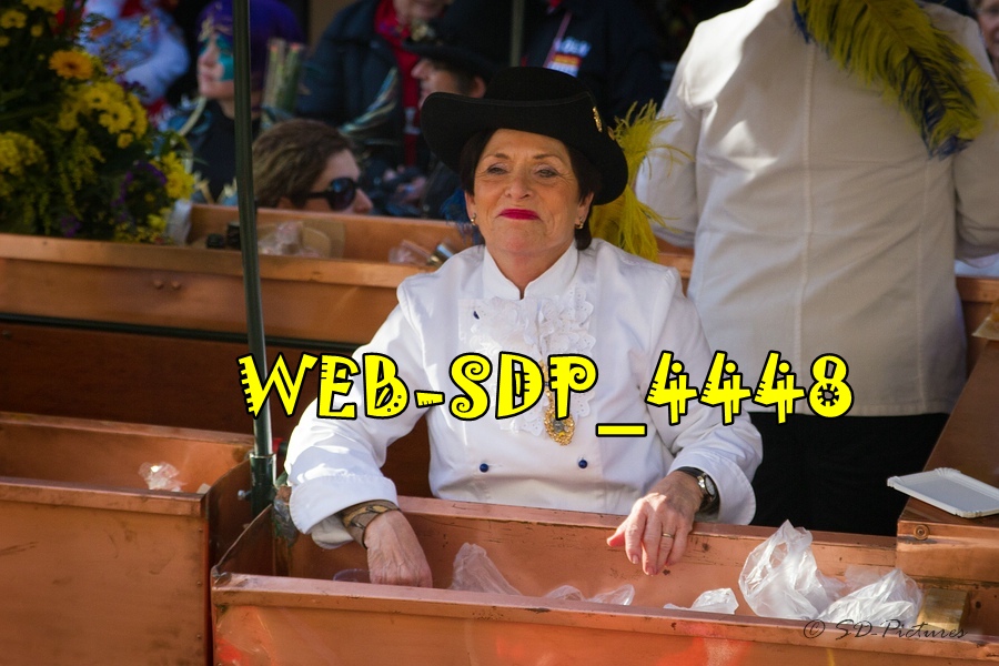 WEB SDP 4448