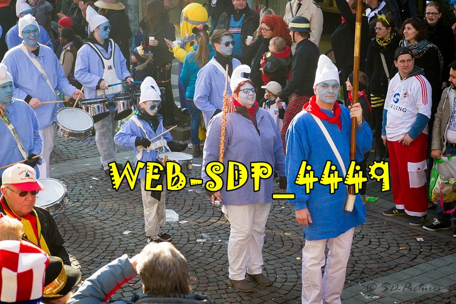 WEB SDP 4449
