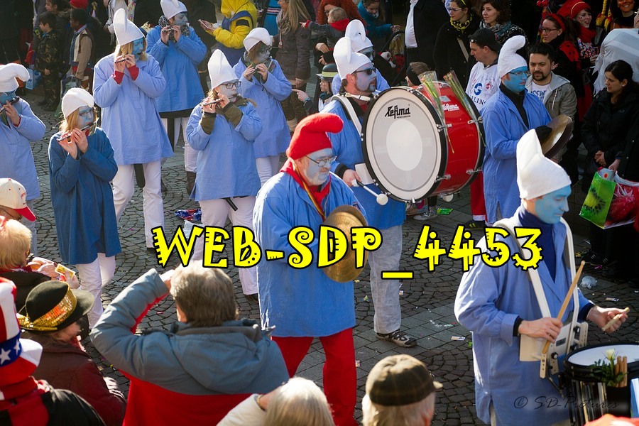 WEB SDP 4453