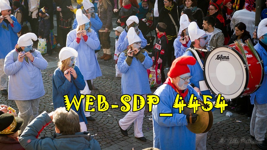 WEB SDP 4454