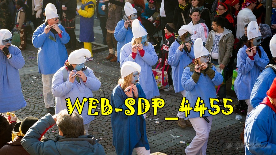 WEB SDP 4455