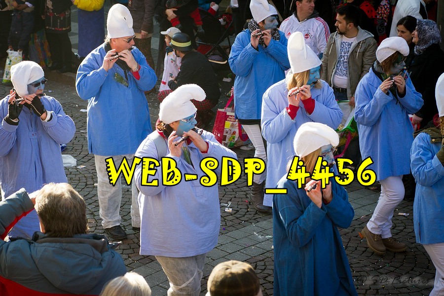 WEB SDP 4456