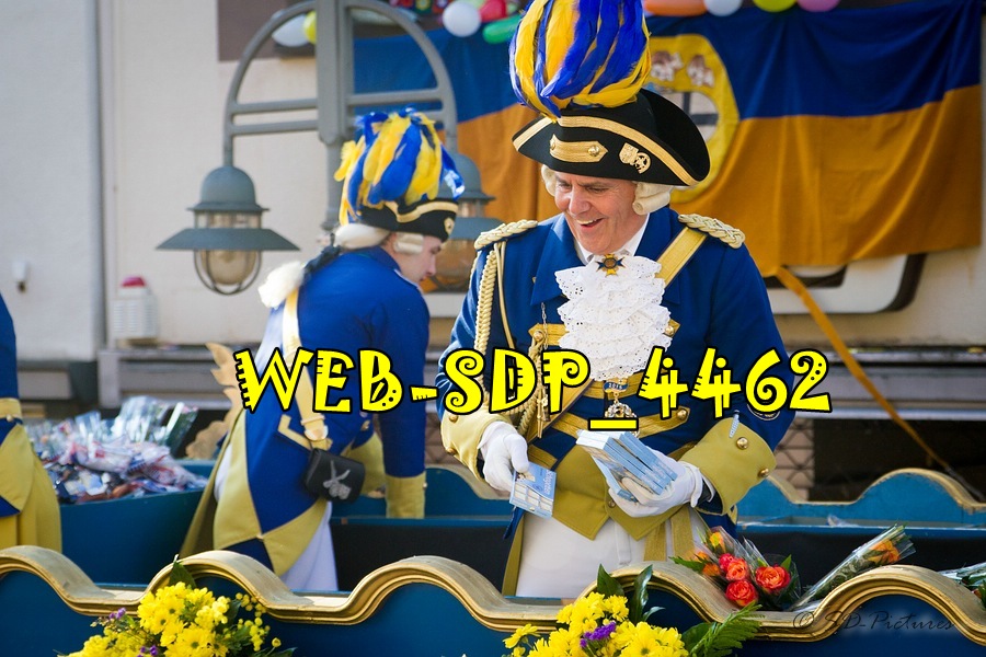 WEB SDP 4462