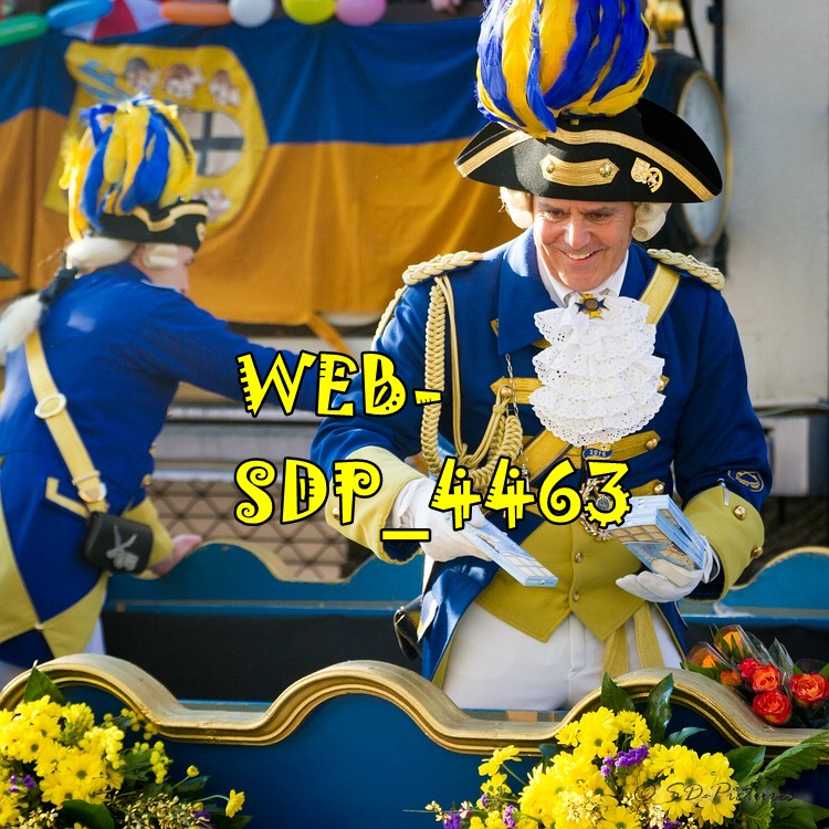 WEB SDP 4463
