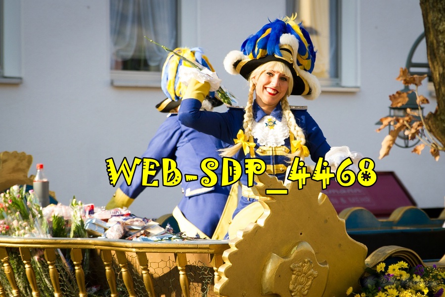 WEB SDP 4468