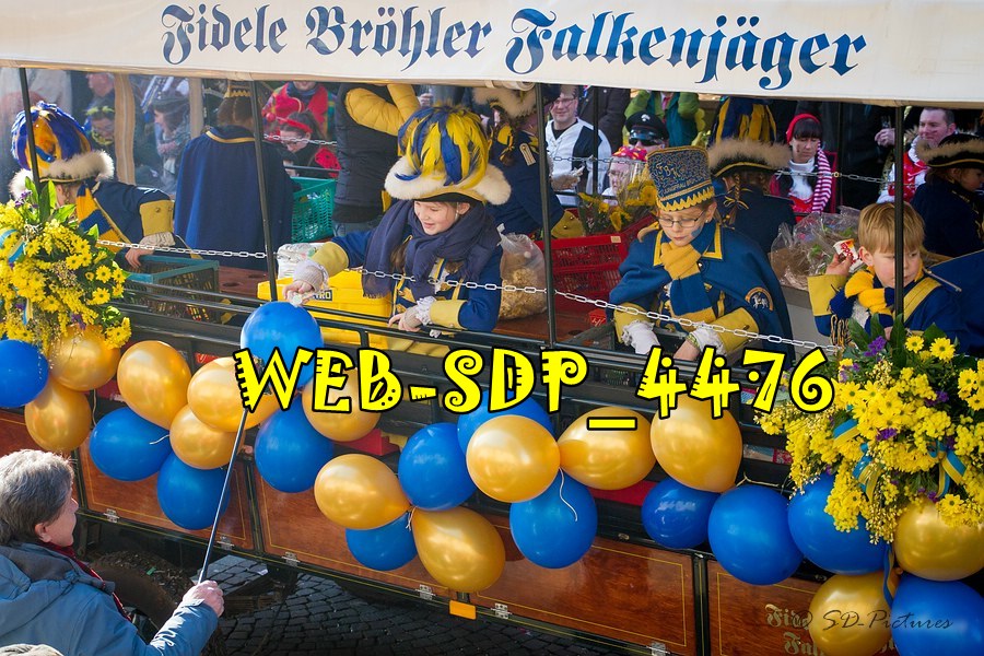 WEB SDP 4476