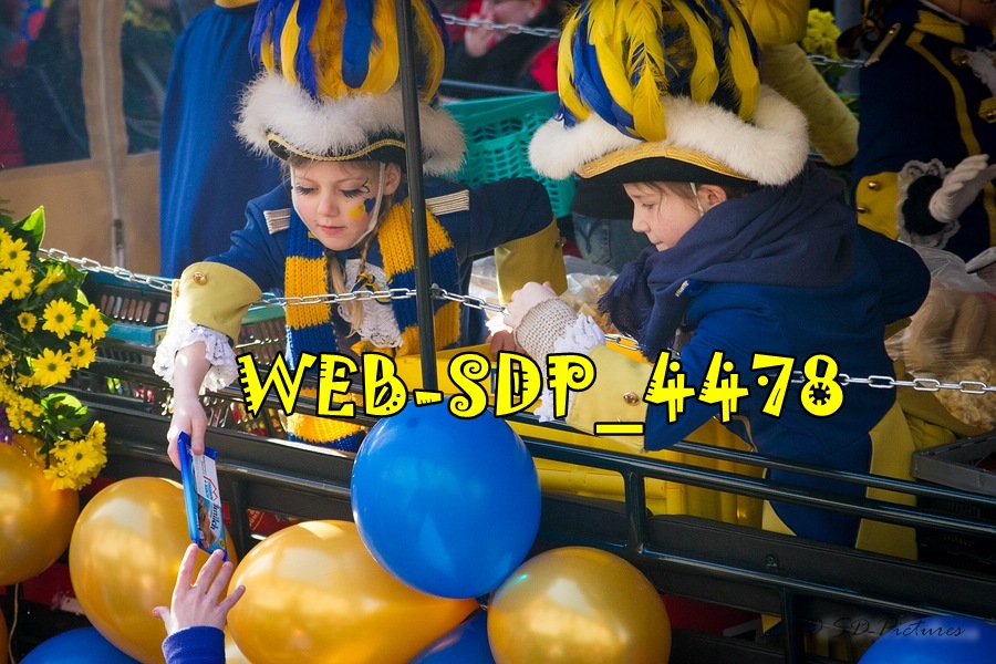 WEB SDP 4478