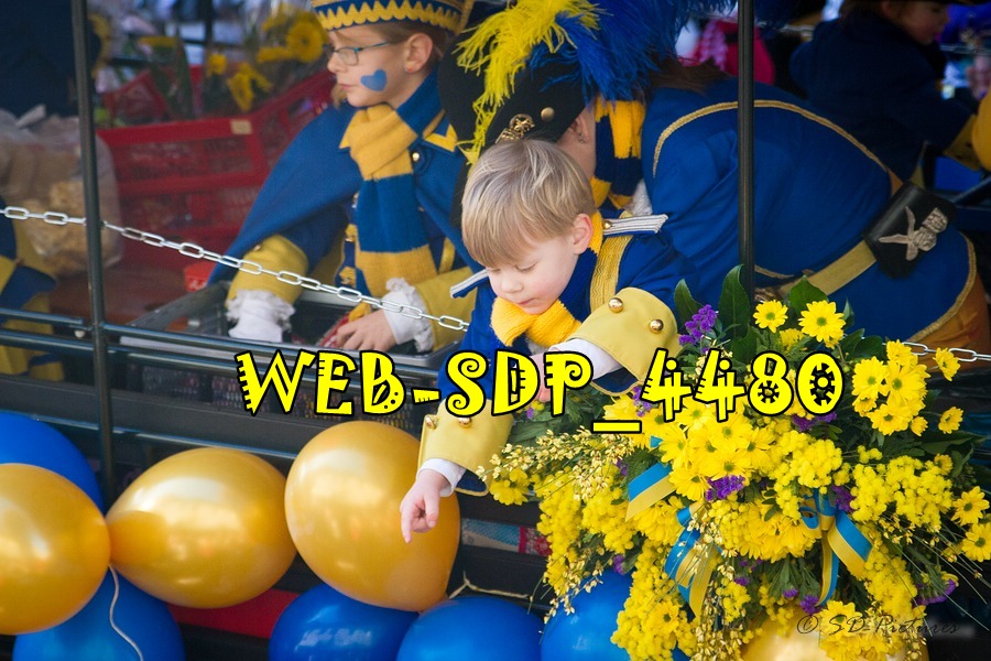 WEB SDP 4480