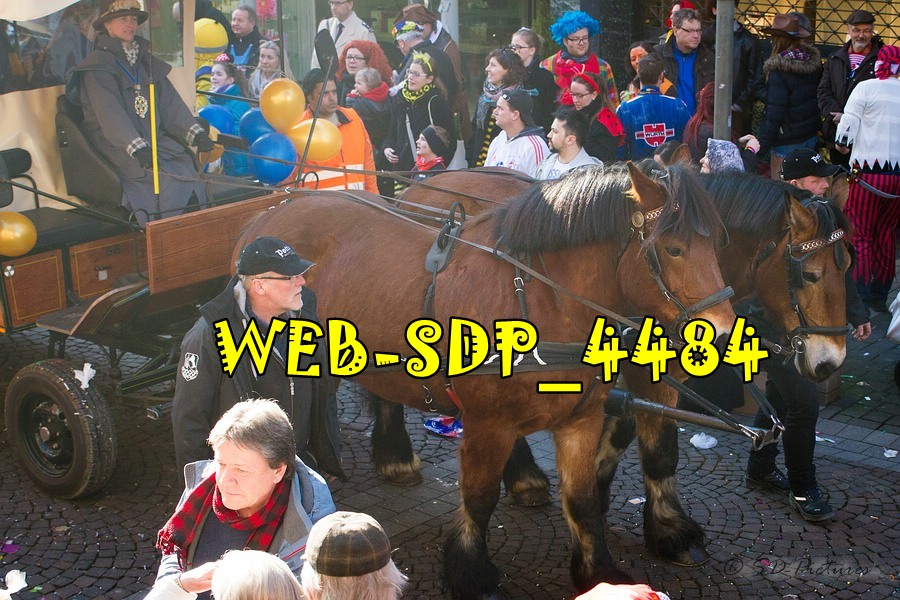 WEB SDP 4484