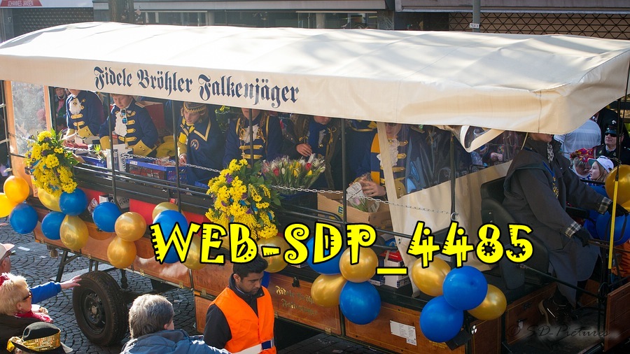 WEB SDP 4485