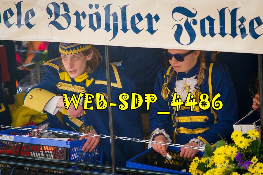 WEB SDP 4486