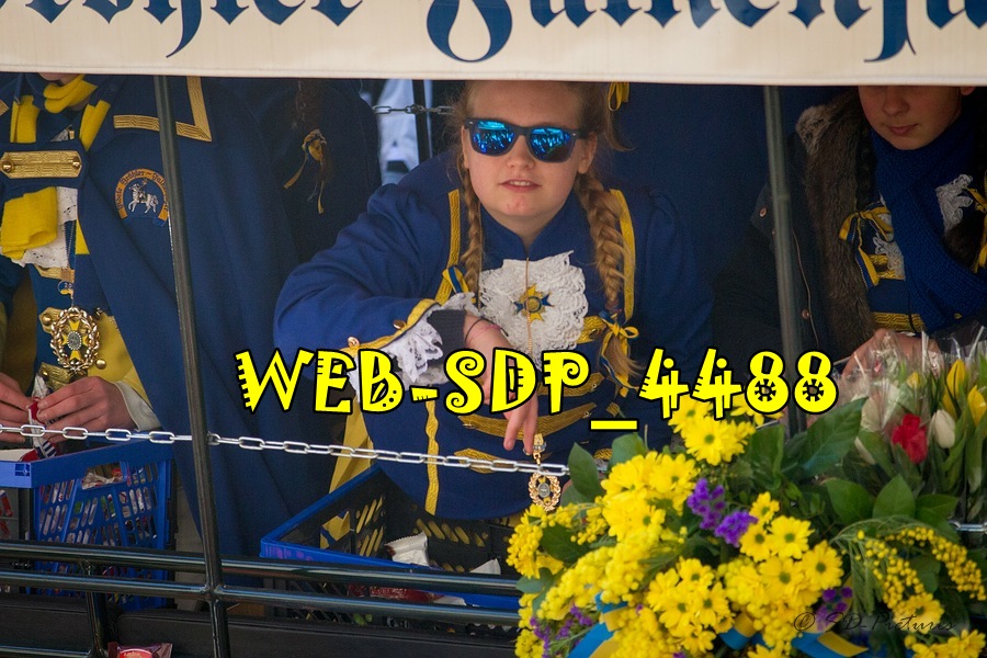 WEB SDP 4488
