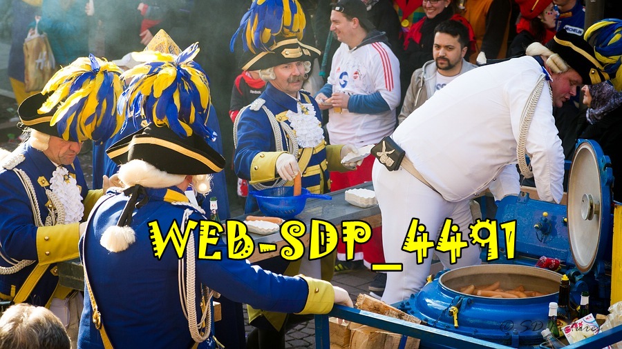WEB SDP 4491