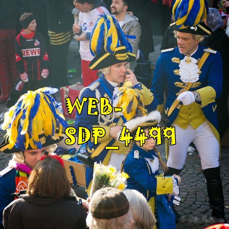 WEB SDP 4499