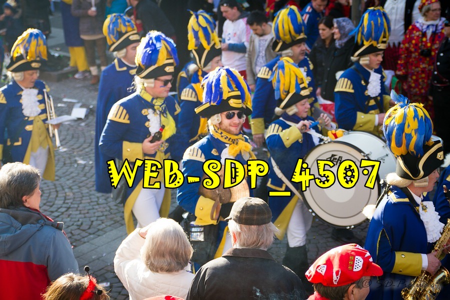 WEB SDP 4507