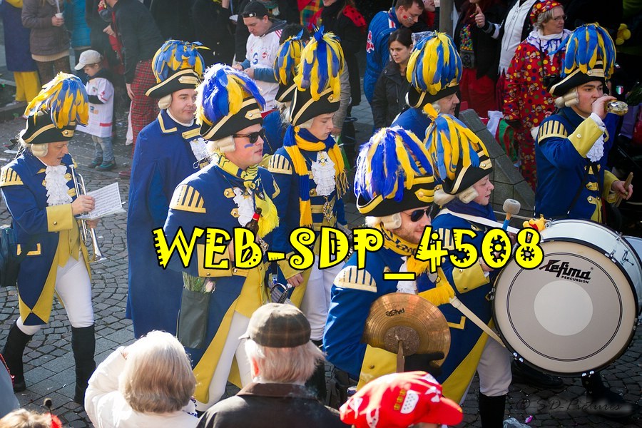 WEB SDP 4508