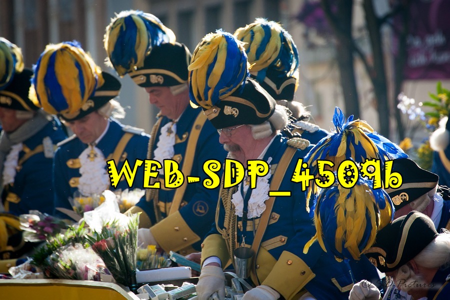 WEB SDP 4509b