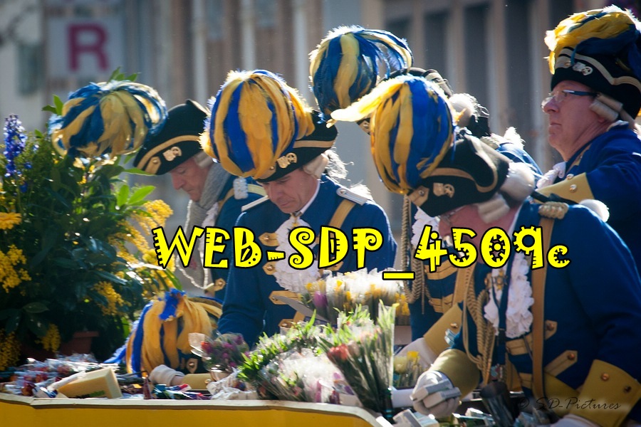 WEB SDP 4509c