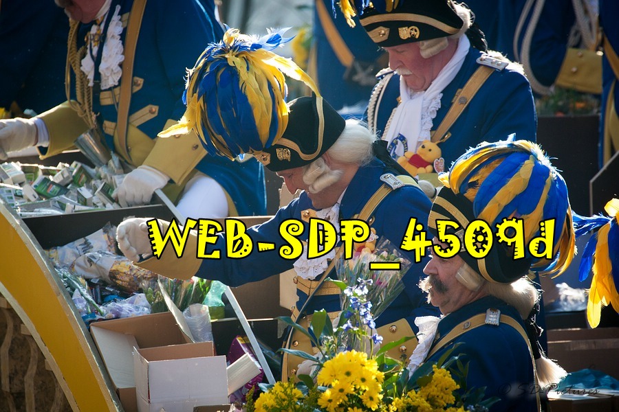 WEB SDP 4509d