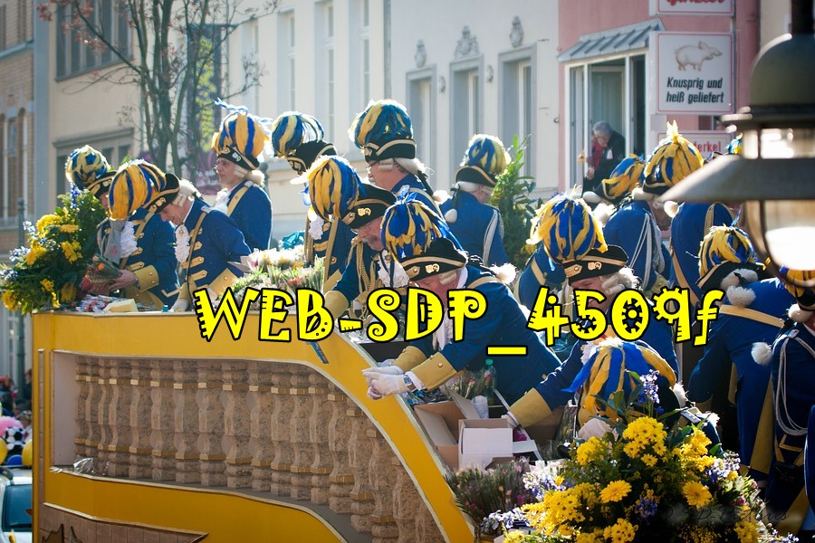 WEB SDP 4509f