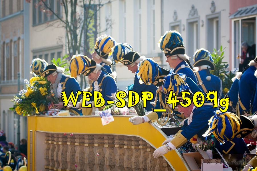 WEB SDP 4509g