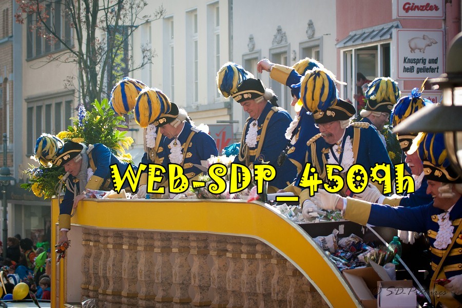 WEB SDP 4509h