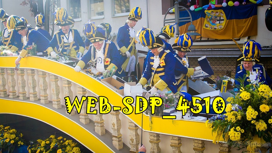 WEB SDP 4510
