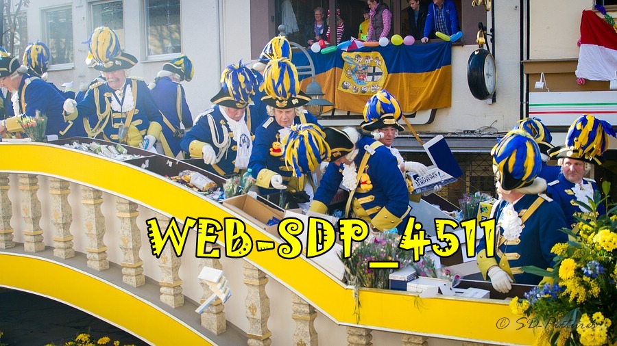 WEB SDP 4511