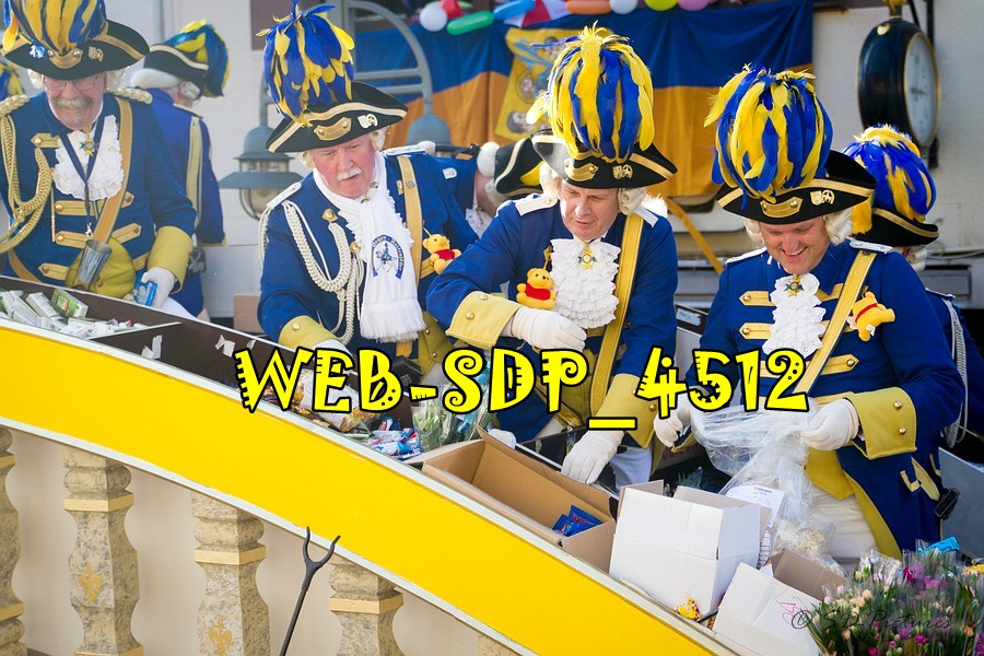 WEB SDP 4512