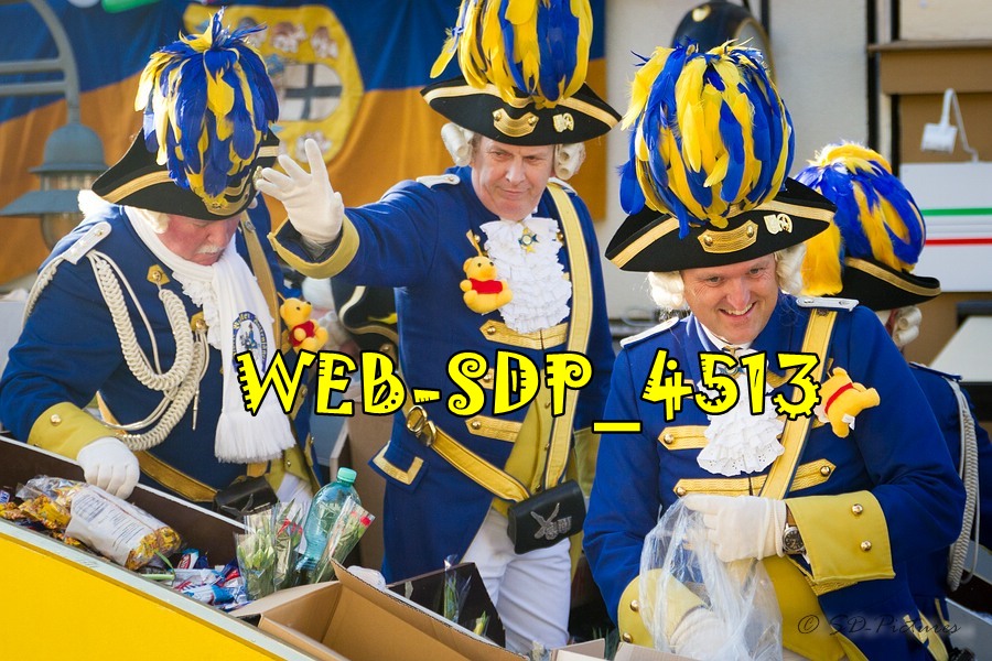 WEB SDP 4513