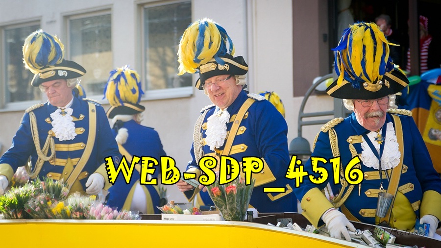 WEB SDP 4516