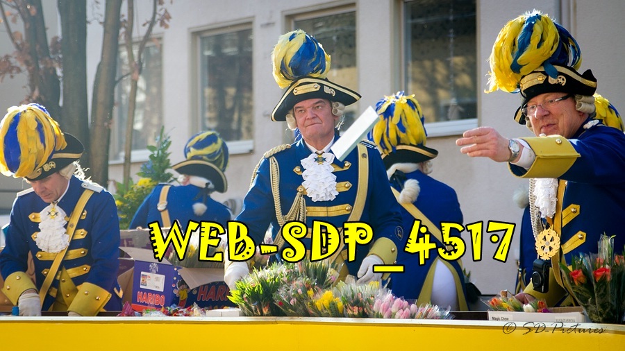 WEB SDP 4517
