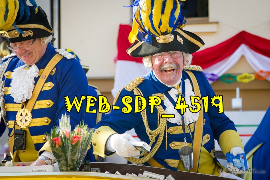 WEB SDP 4519