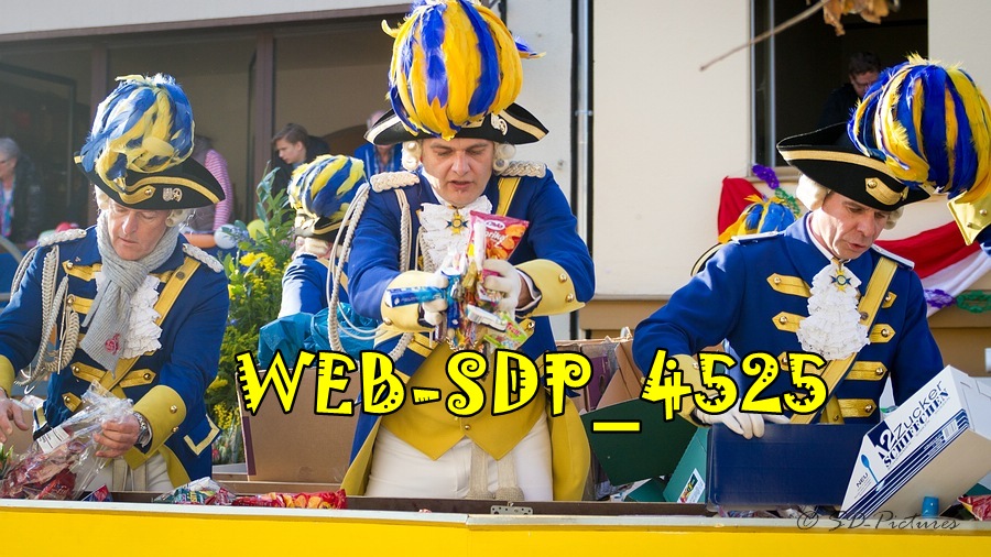 WEB SDP 4525