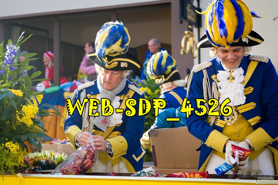 WEB SDP 4526