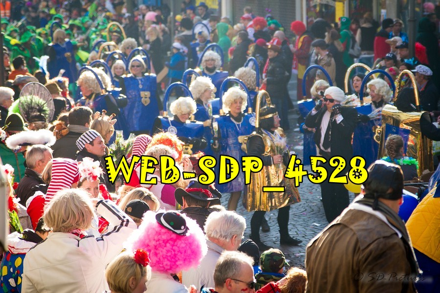 WEB SDP 4528