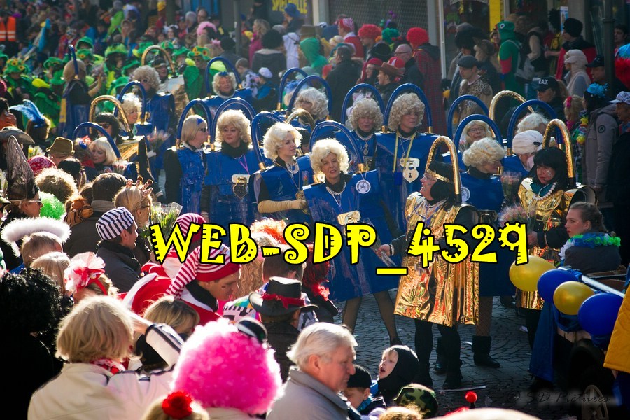 WEB SDP 4529