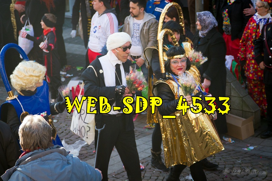 WEB SDP 4533