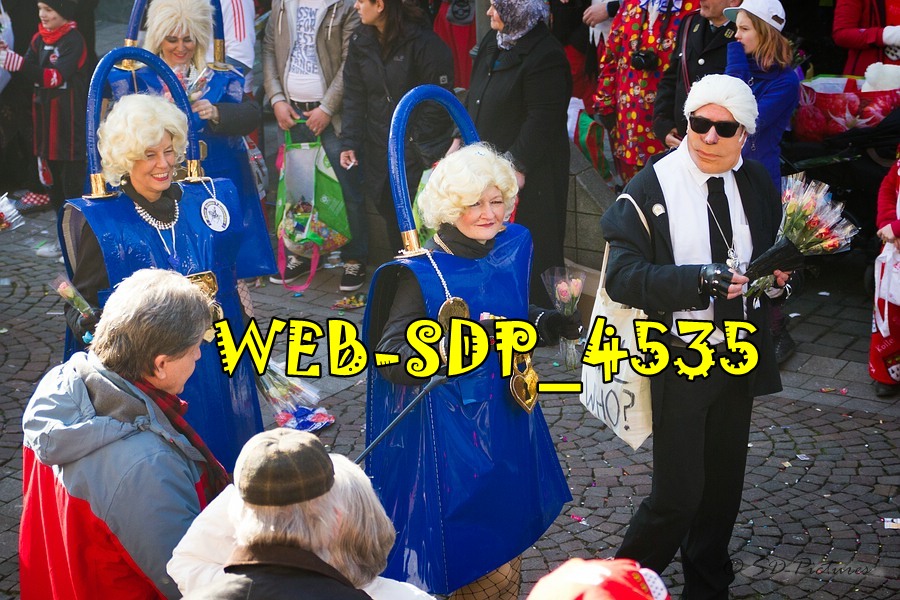 WEB SDP 4535