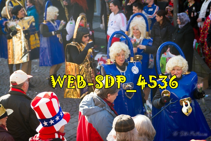 WEB SDP 4536