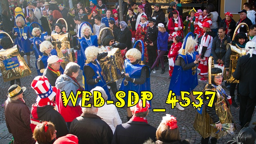 WEB SDP 4537