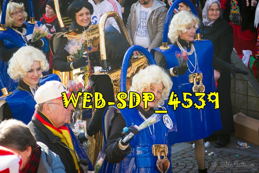 WEB SDP 4539
