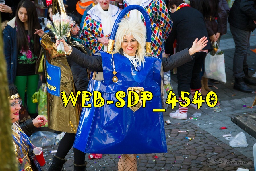 WEB SDP 4540