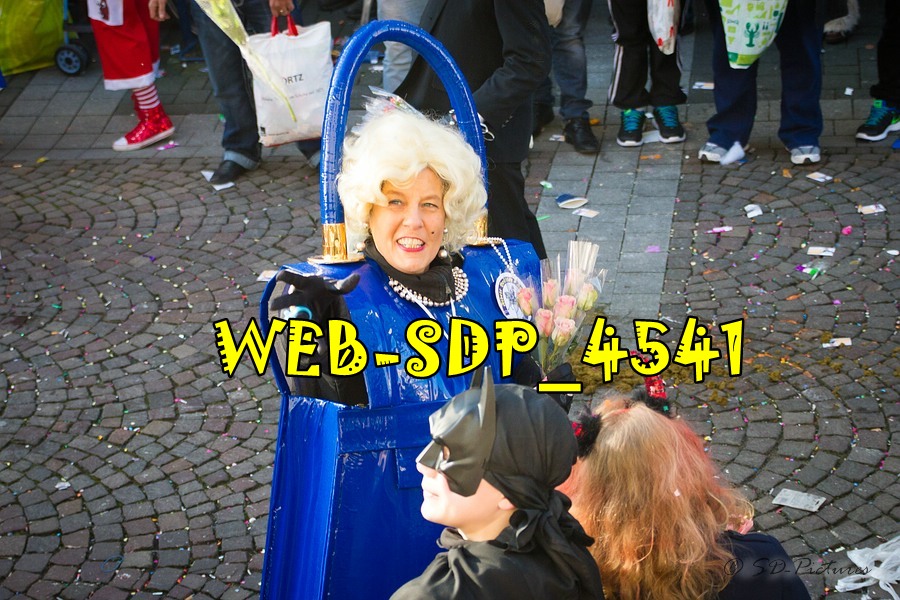 WEB SDP 4541